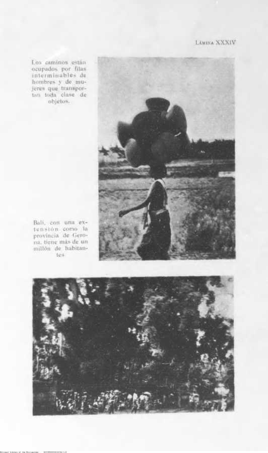 246 
