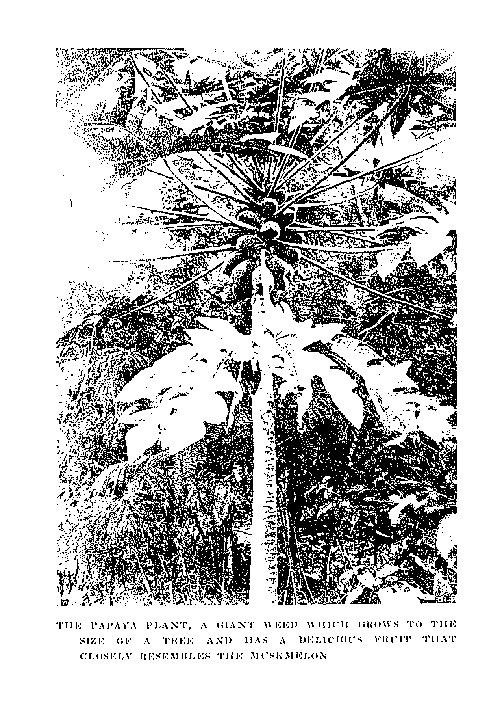 103