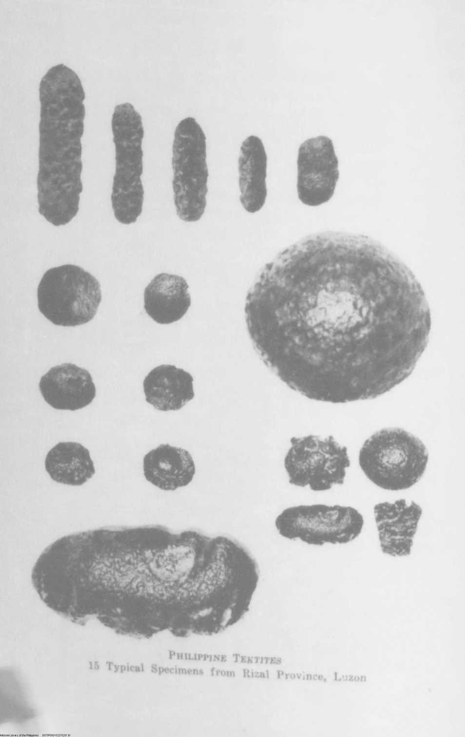251 
