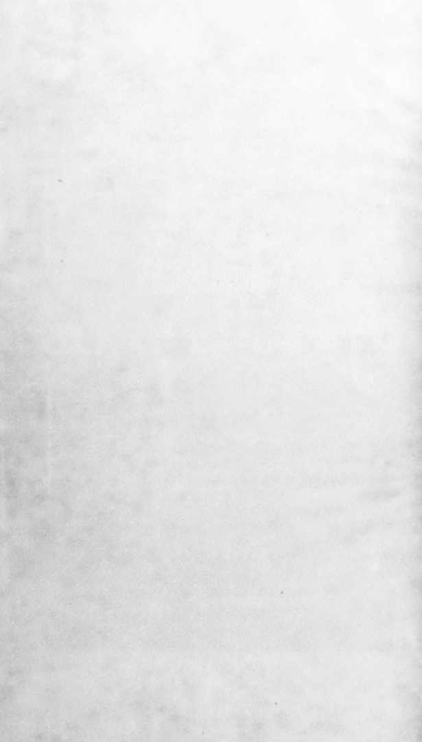 116 
