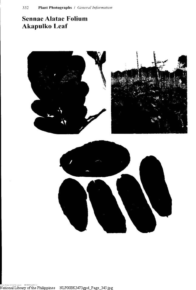 345 
