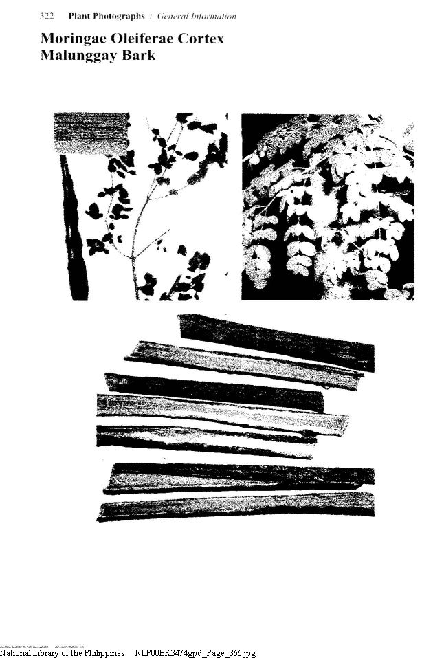 366 
