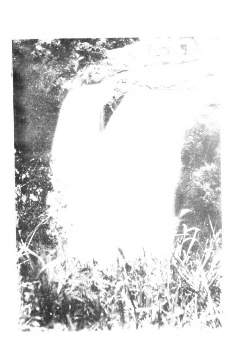 63 
