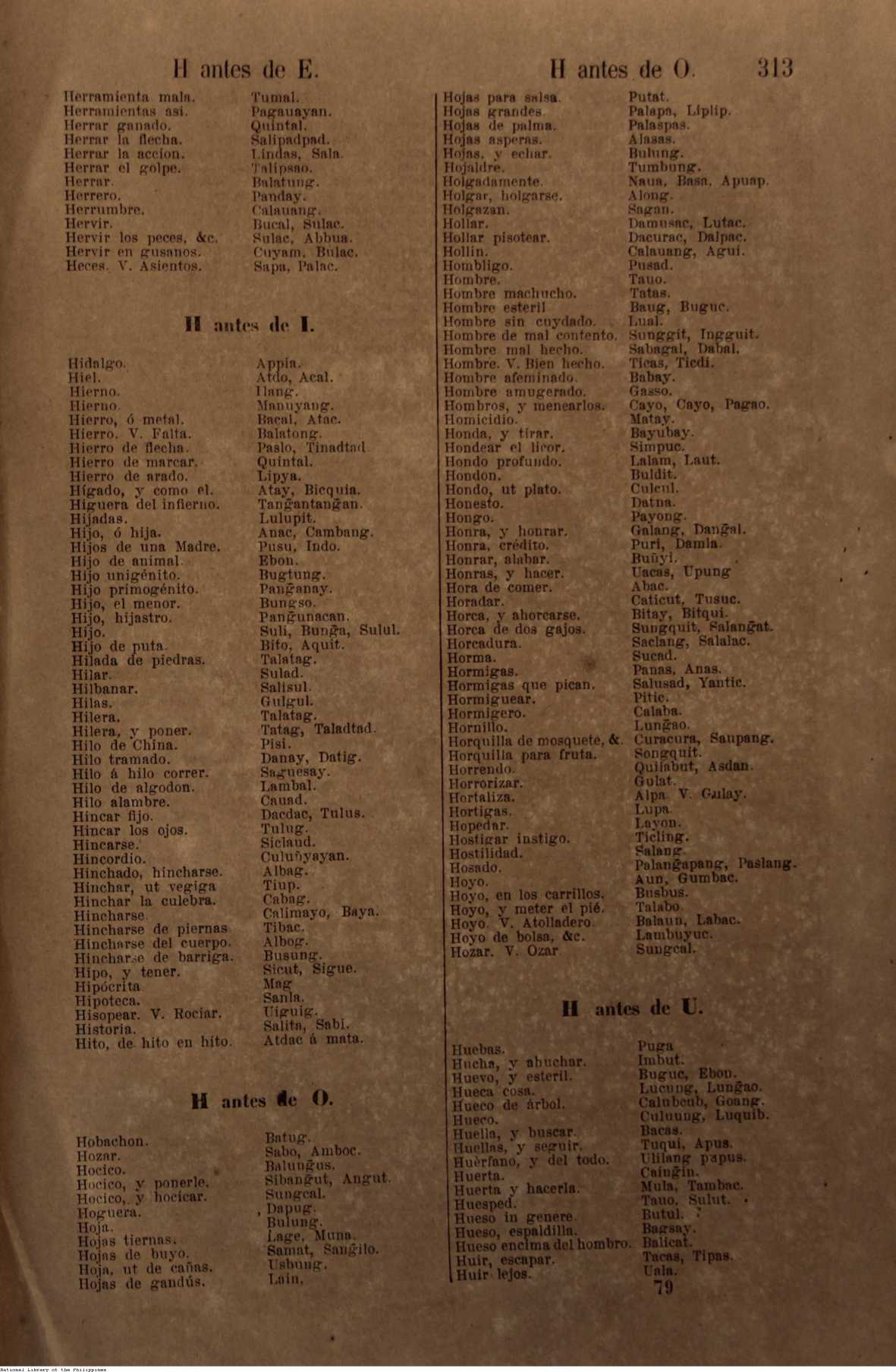 338 
