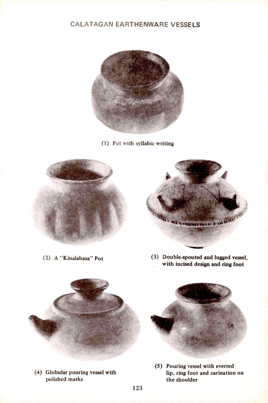 131 
