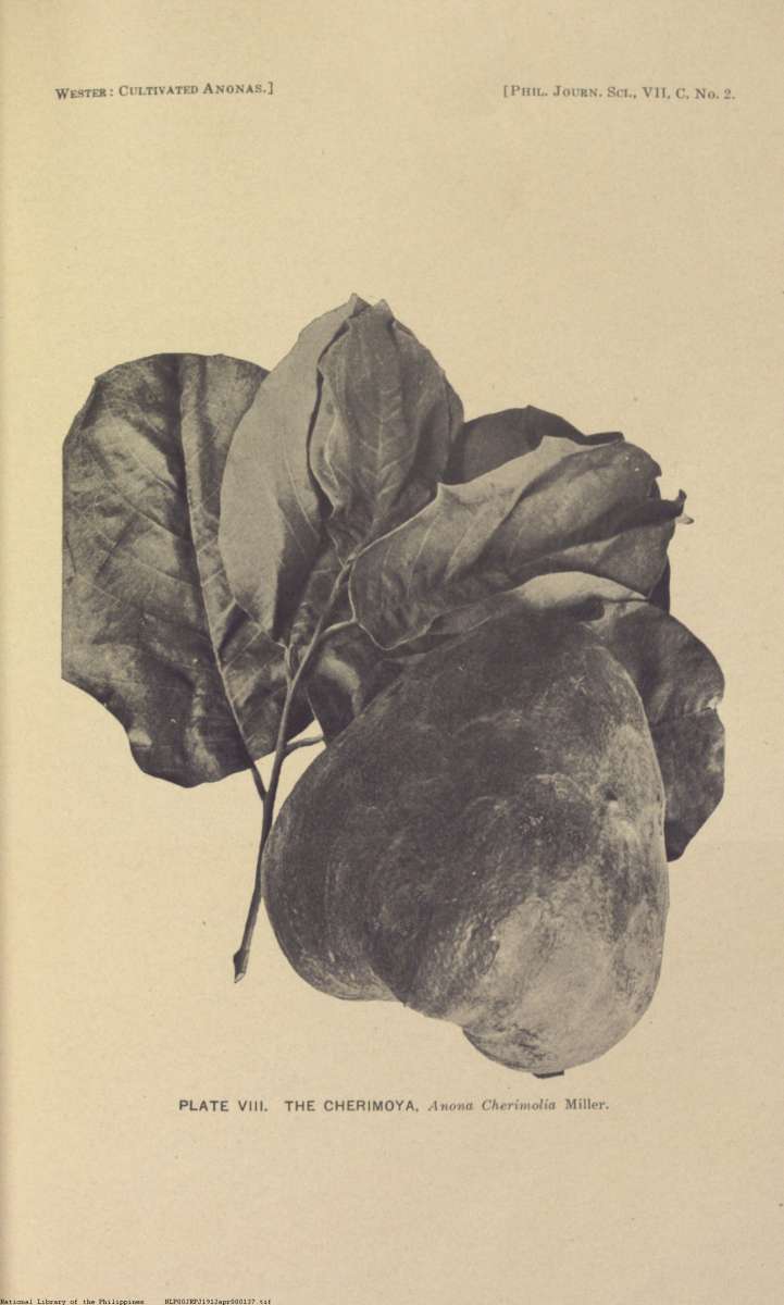 372 

