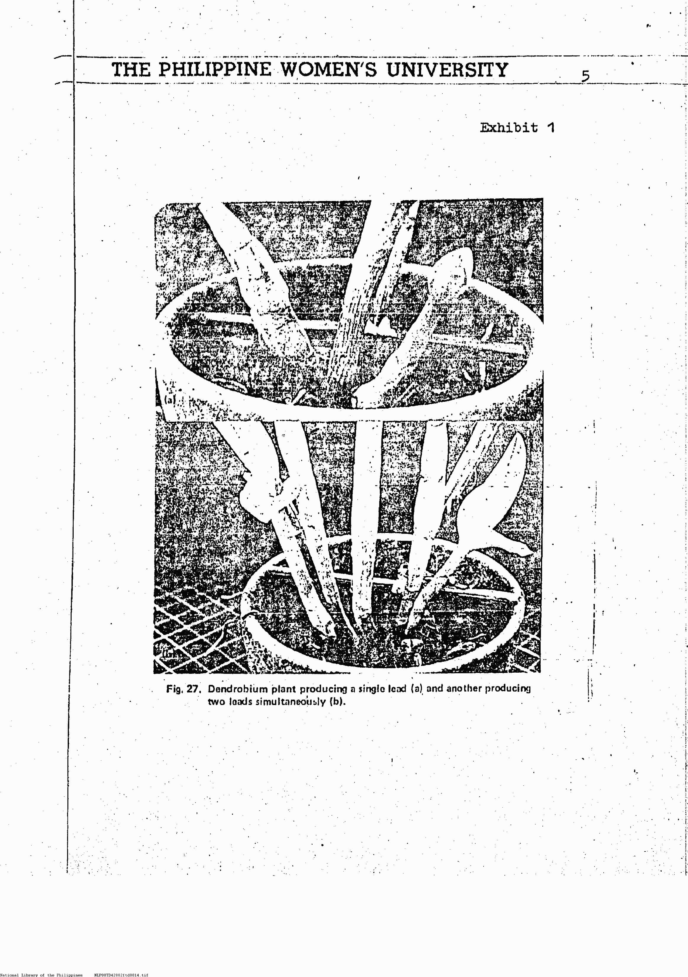 14 
