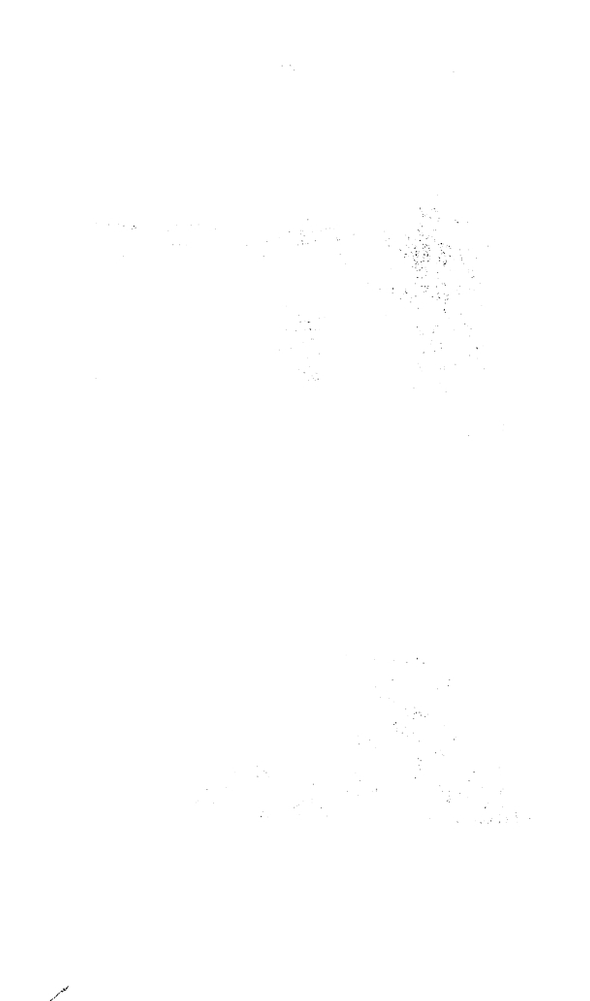 238 

