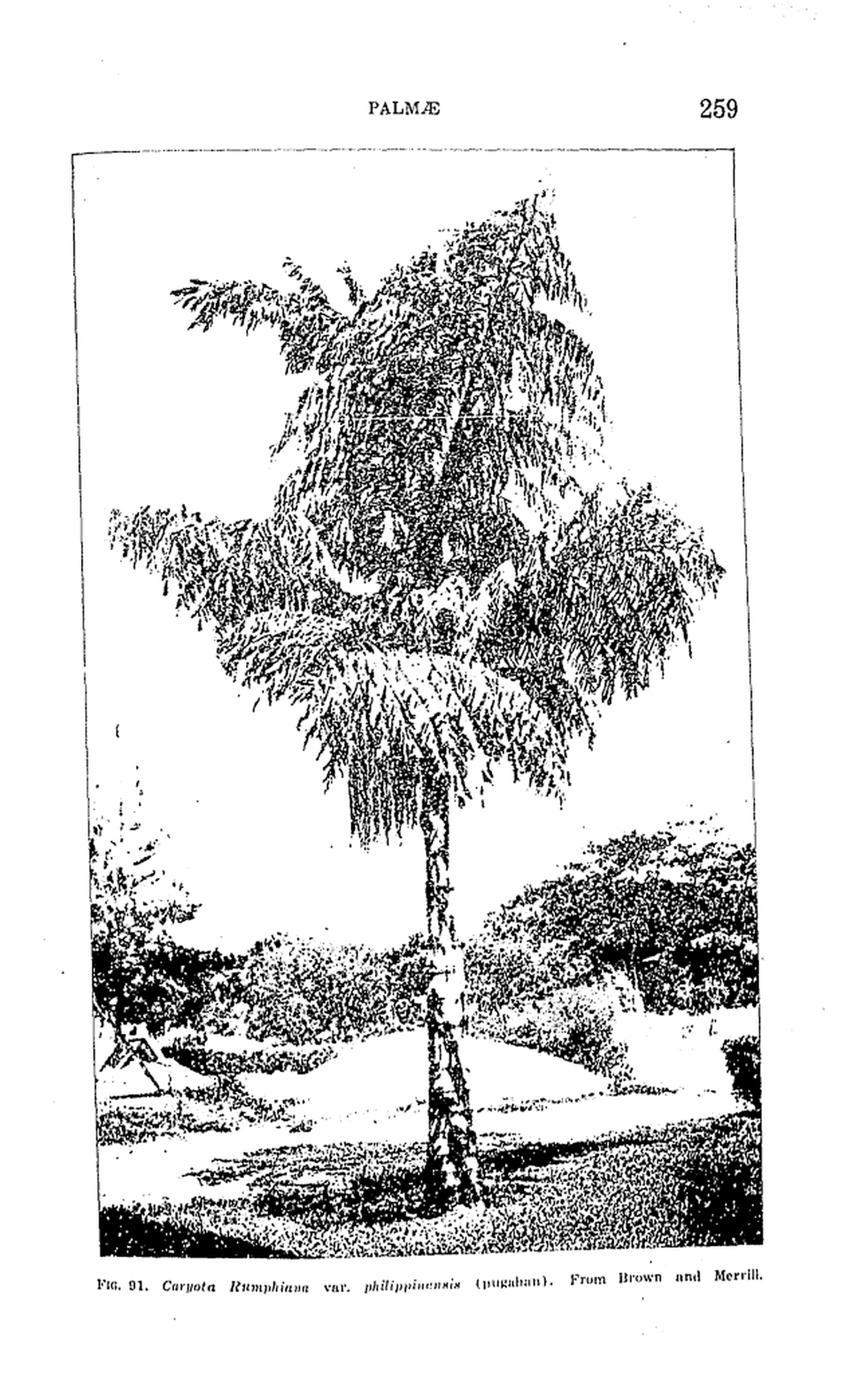259 
