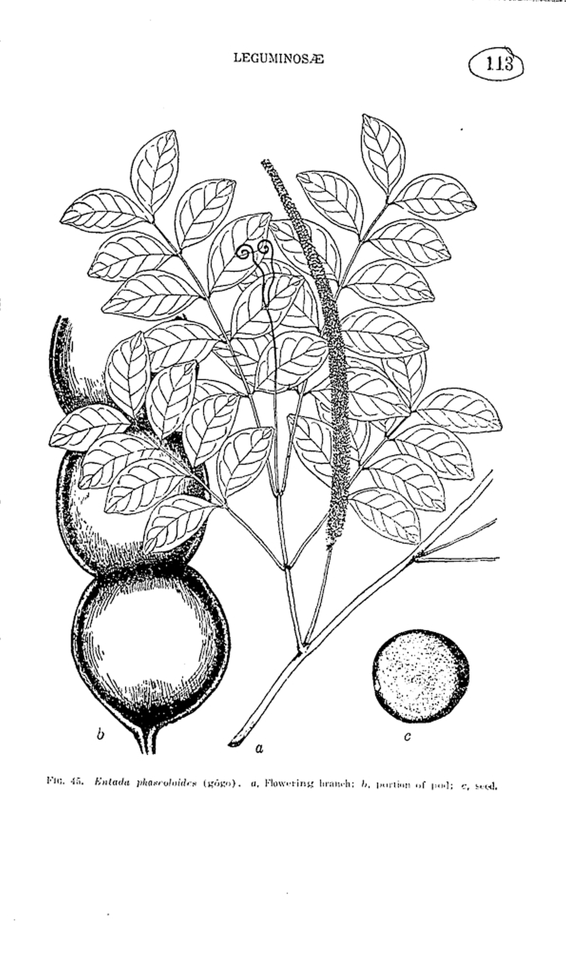 113 

