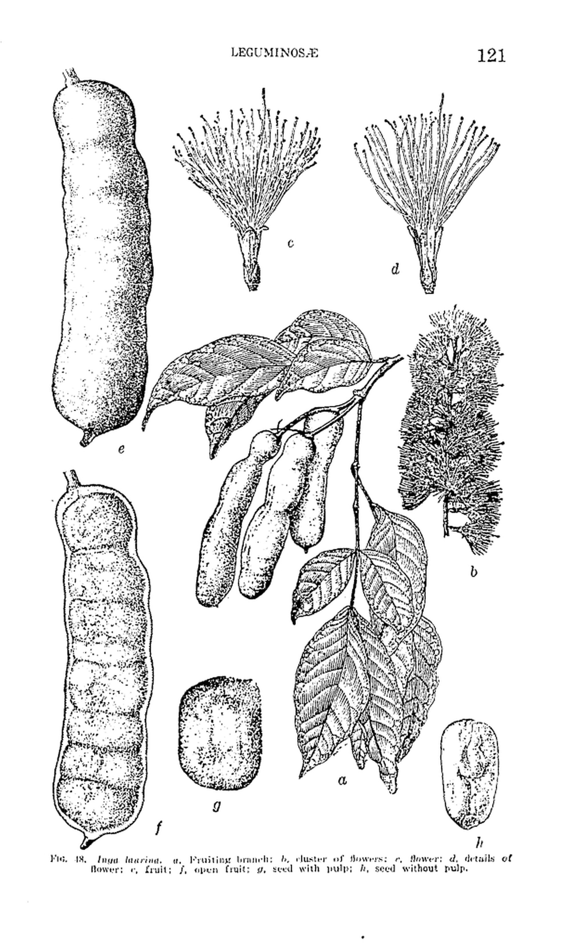 121 
