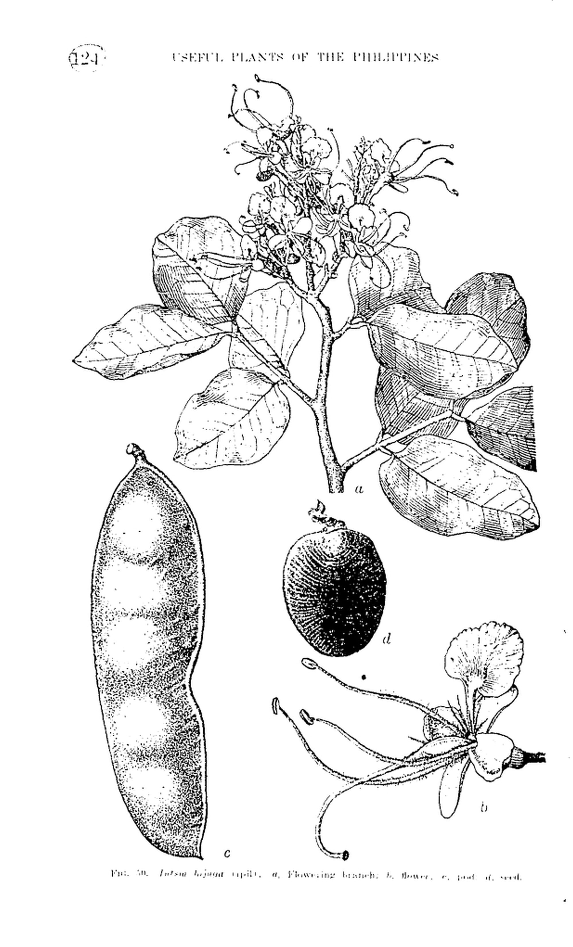 124 

