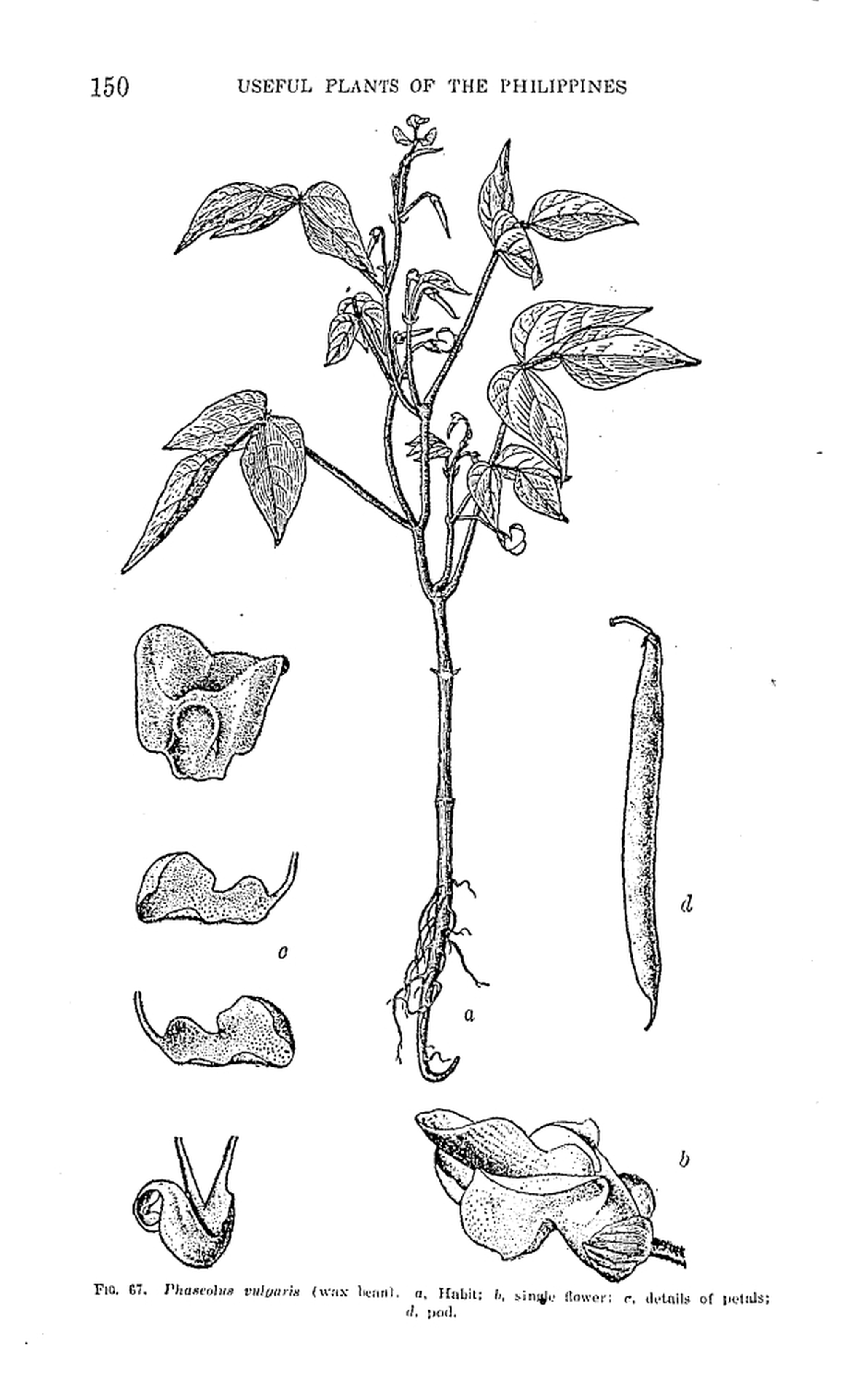 150 
