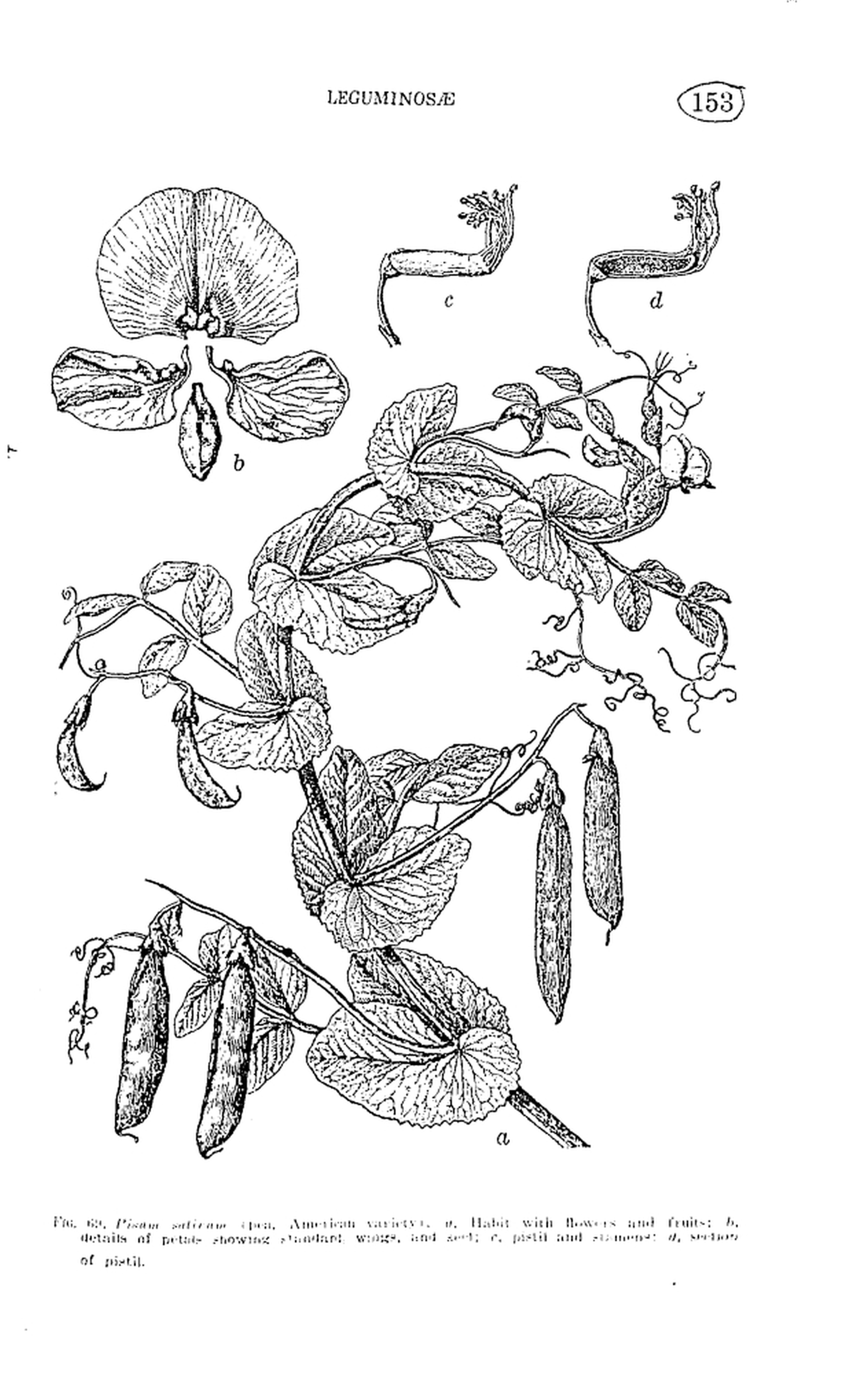 153 
