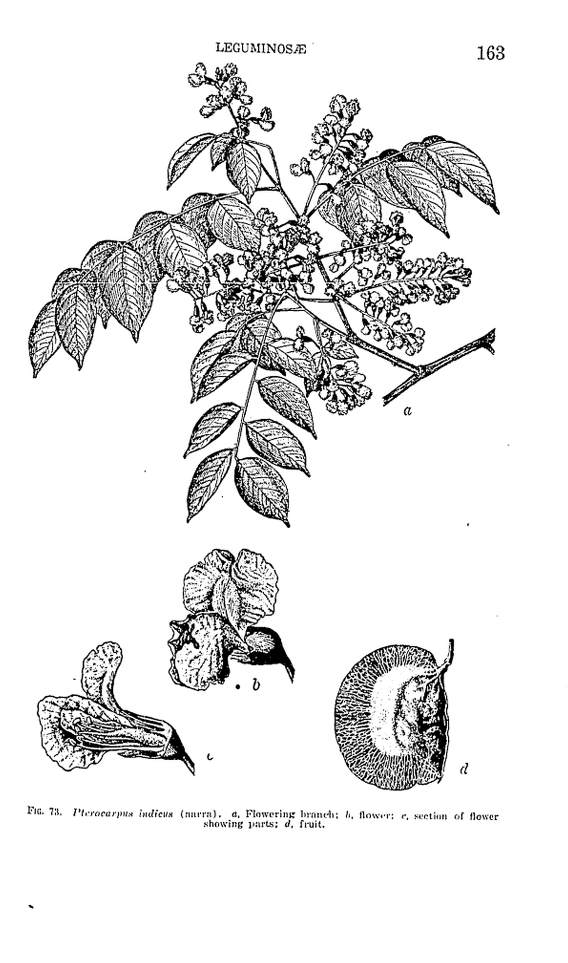 163 
