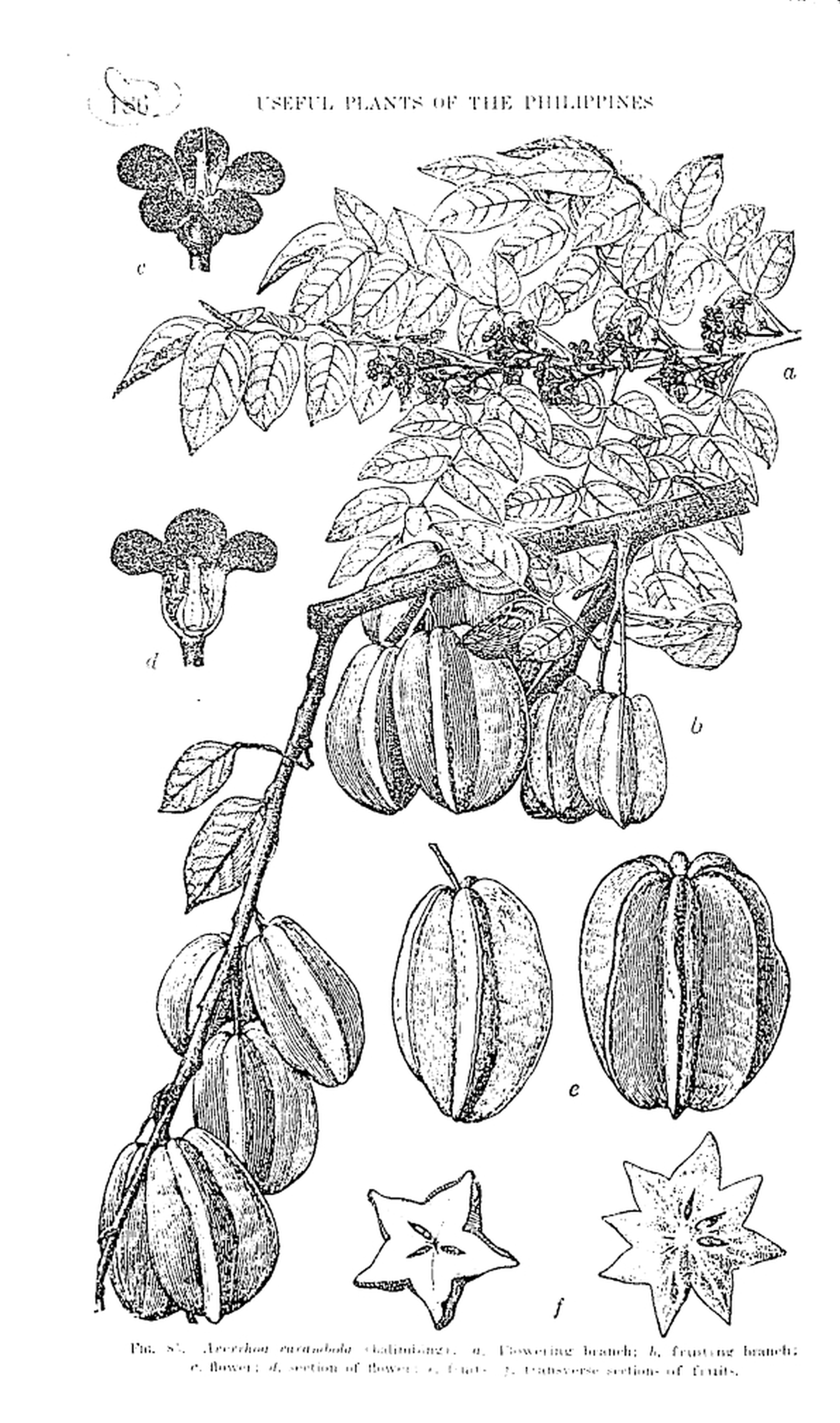 186 
