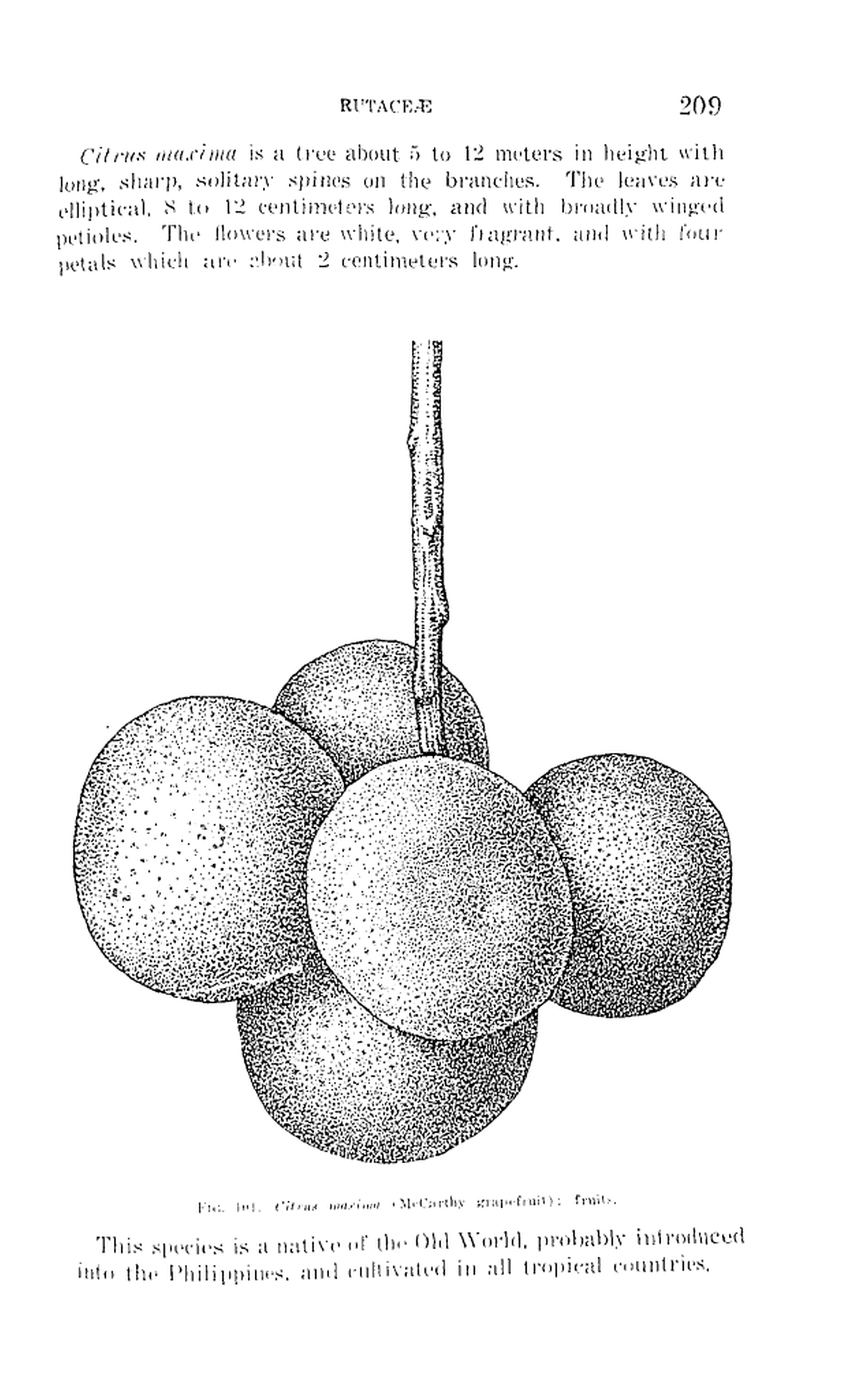 209 
