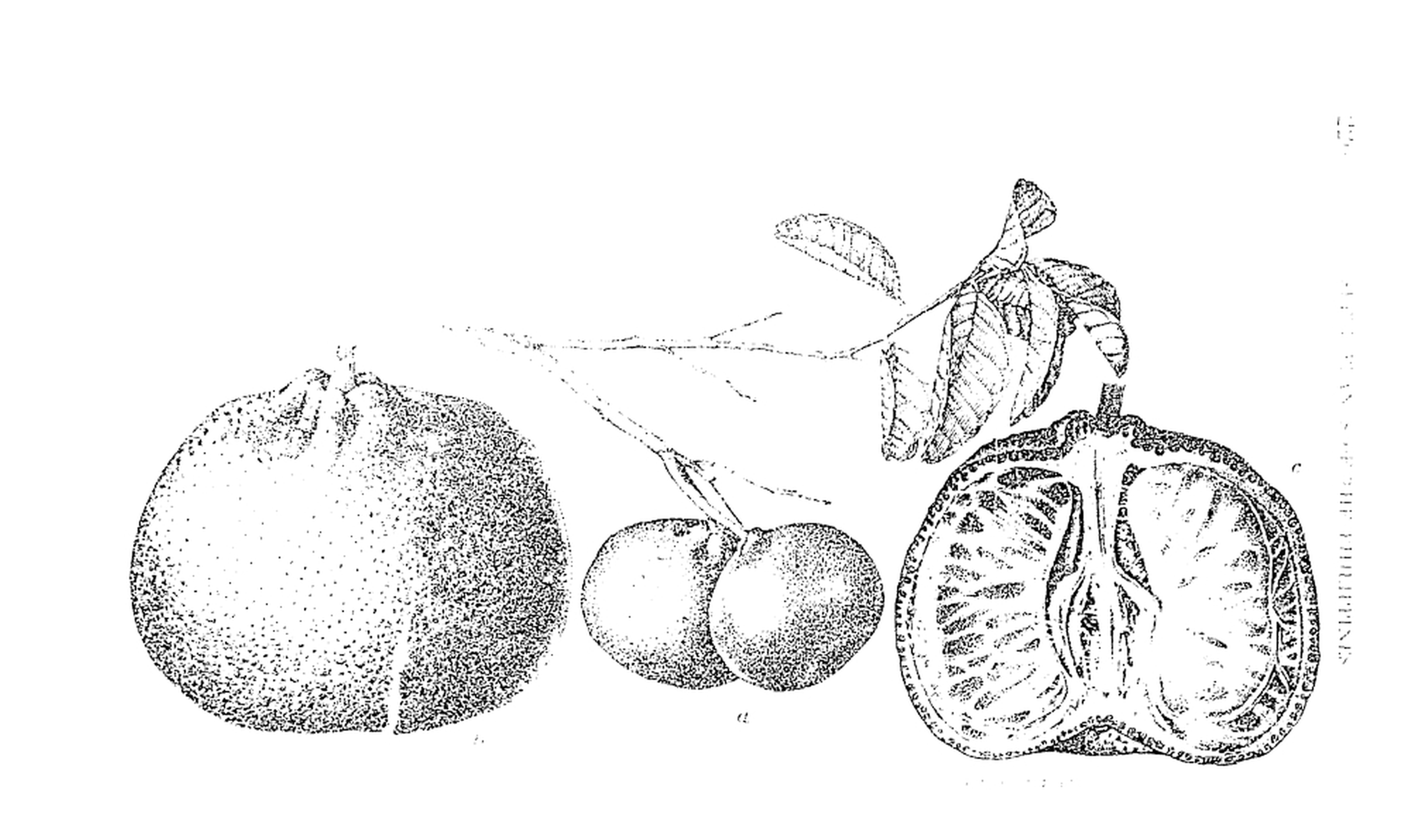 220 
