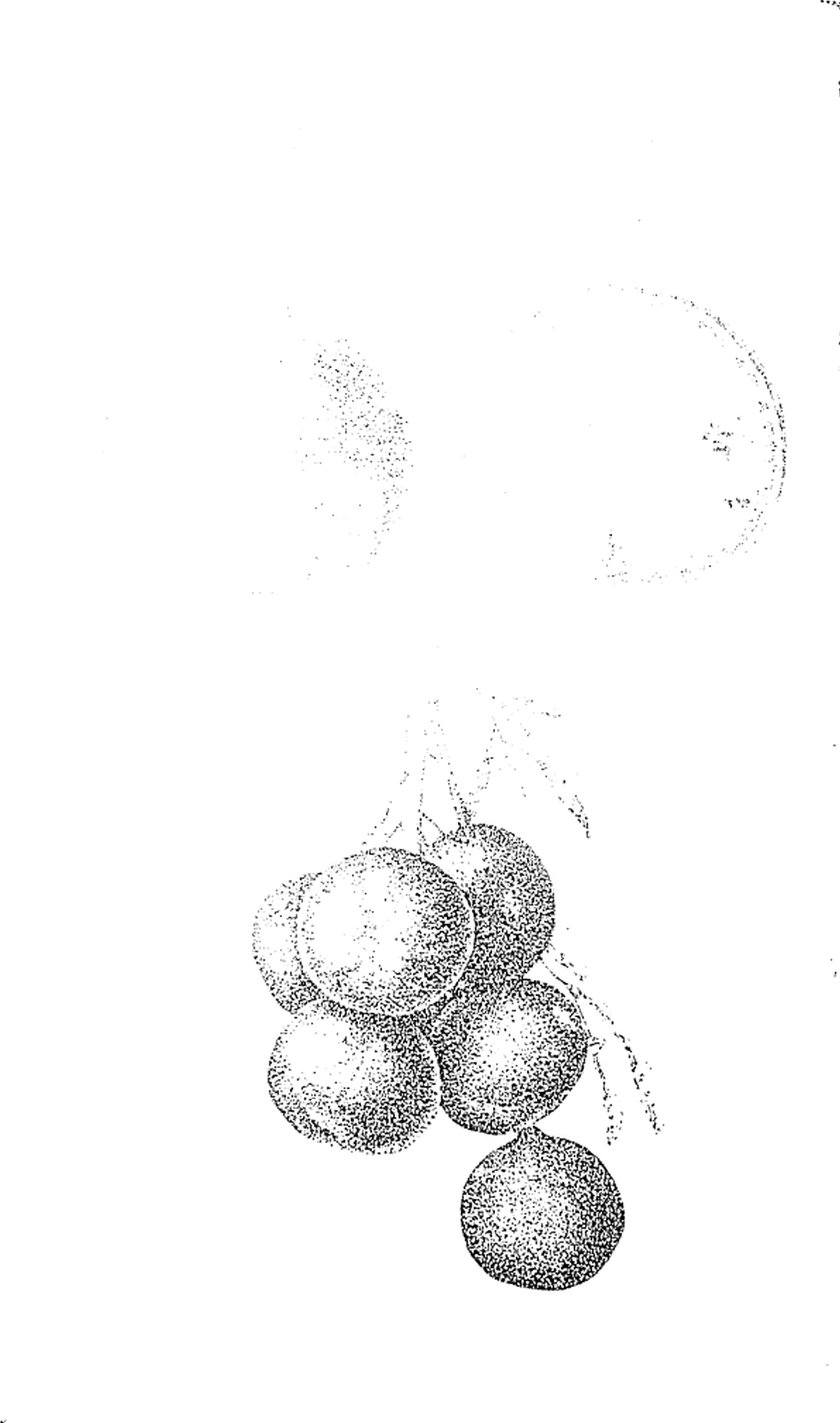 224 
