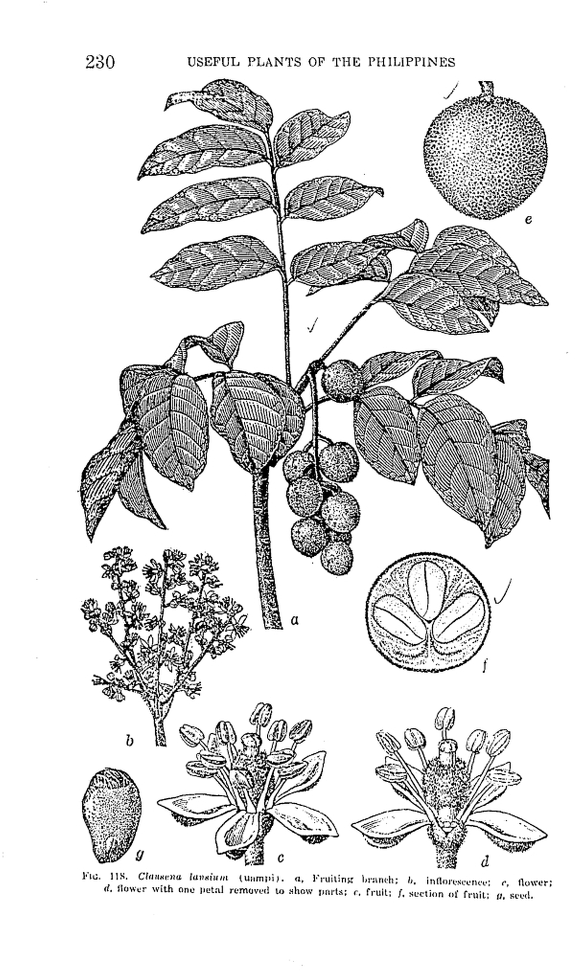 230 
