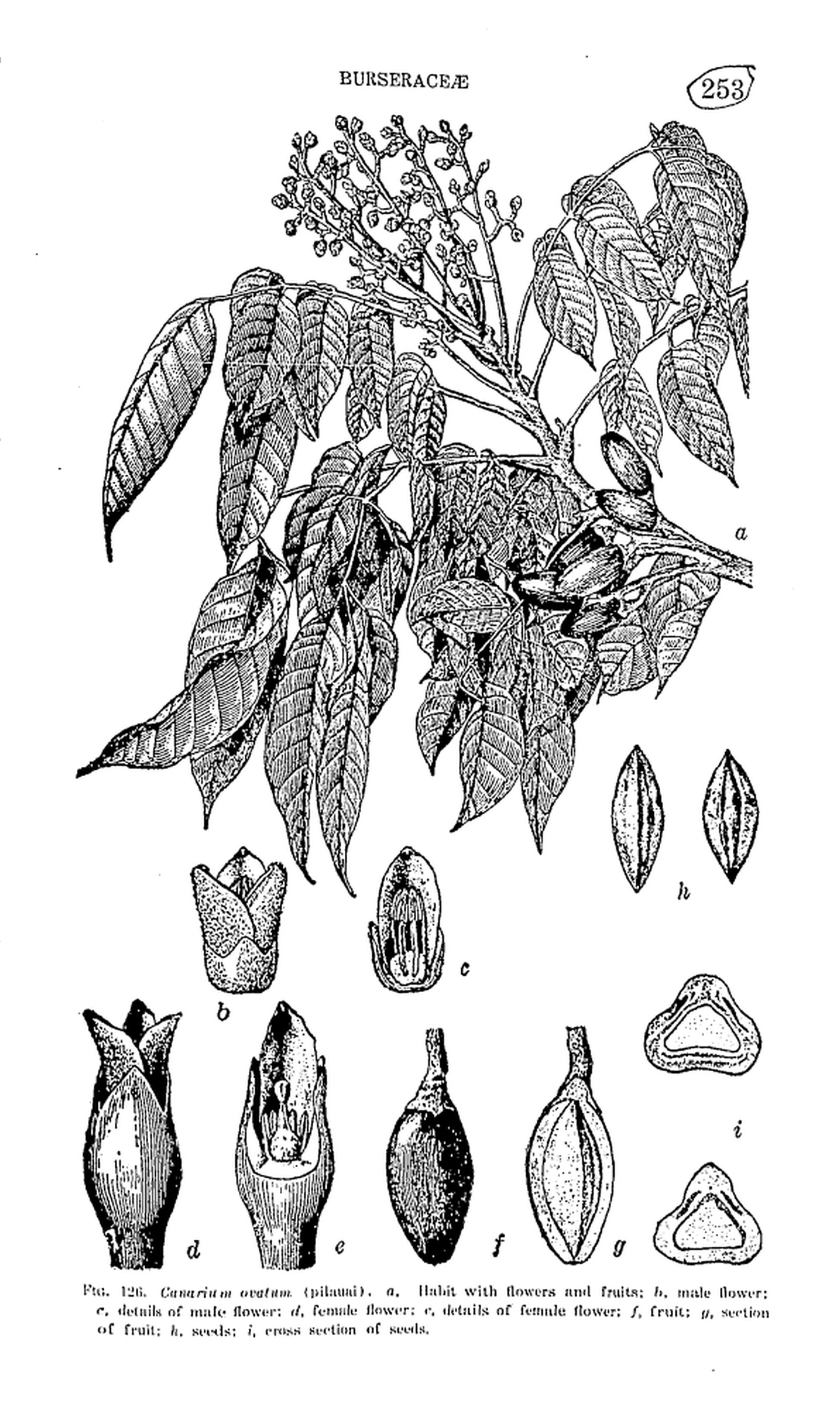 253 
