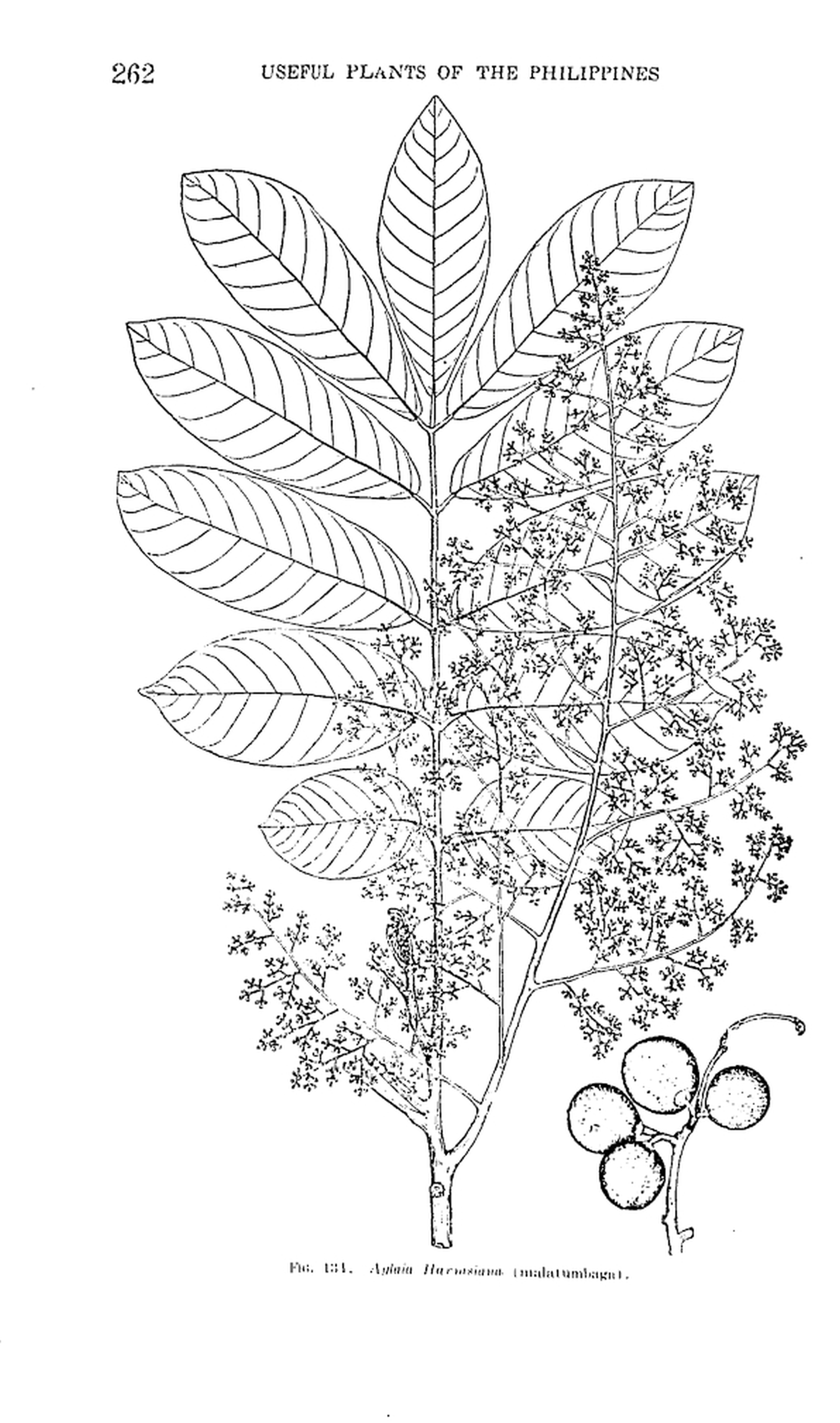 262 

