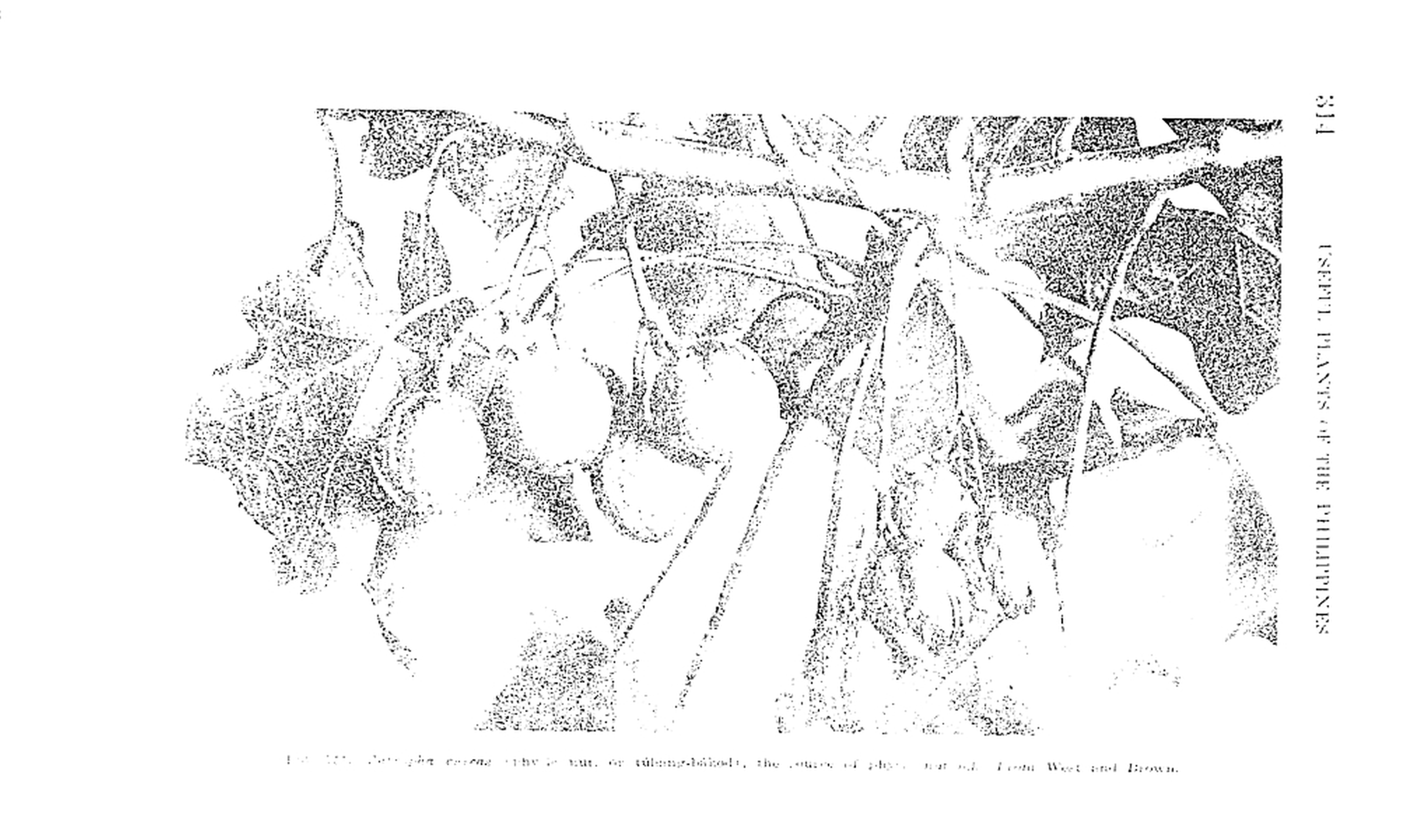 314 
