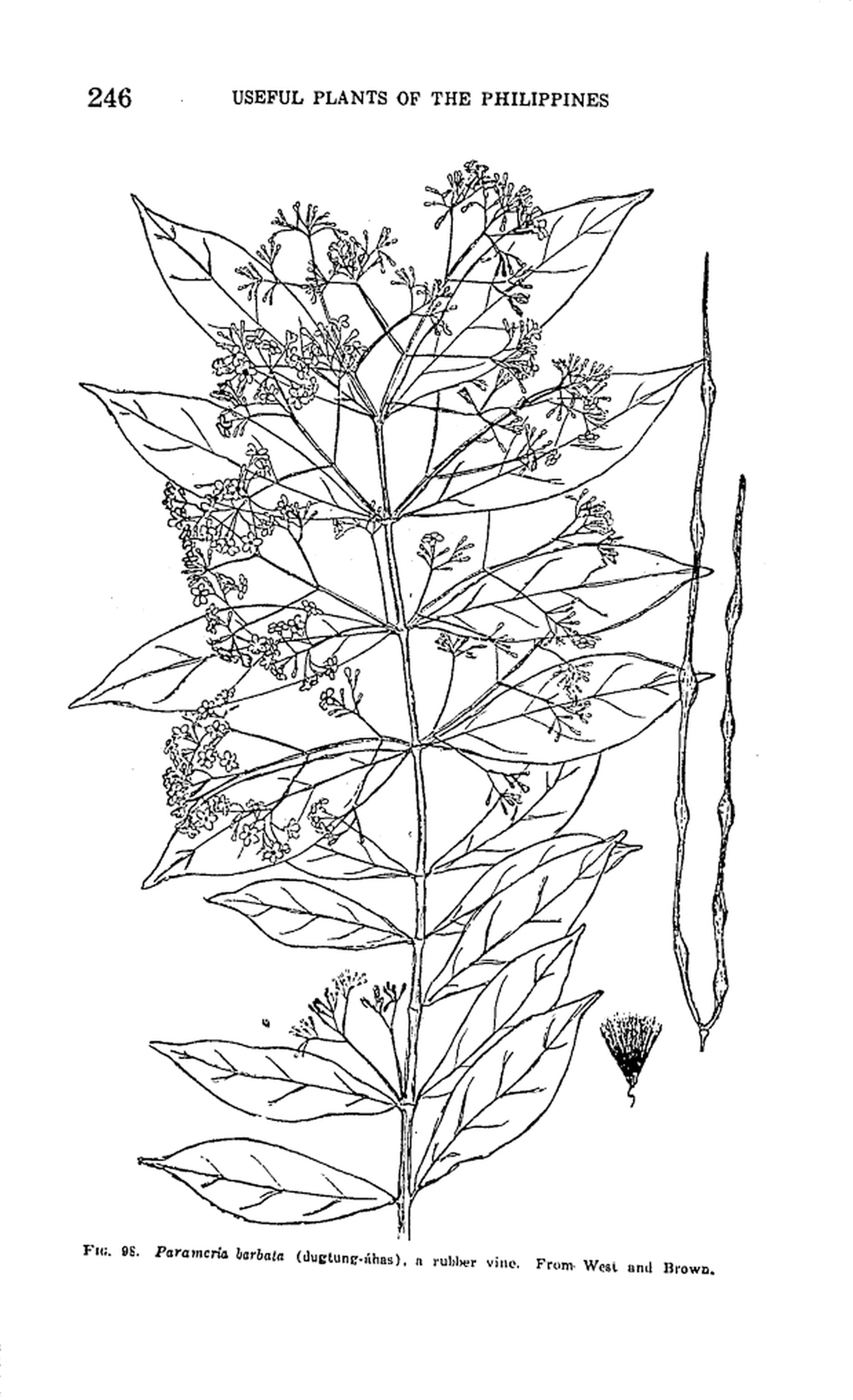 245 
