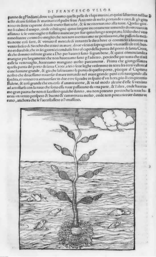 1544 
