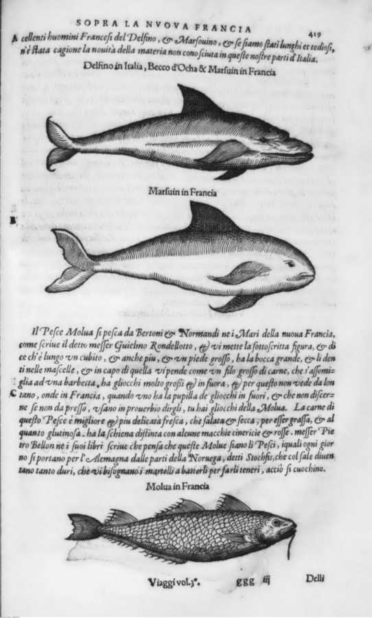 1683 
