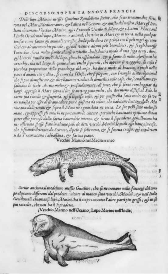 1684 
